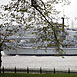 HMS EDINBURGH D97     9