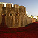 Poppies @ The Tower 2014