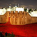 Poppies @ The Tower 2014