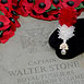 WALTER STONE  VC   9795