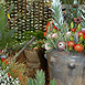Chelsea 2006 South African Exhibit
